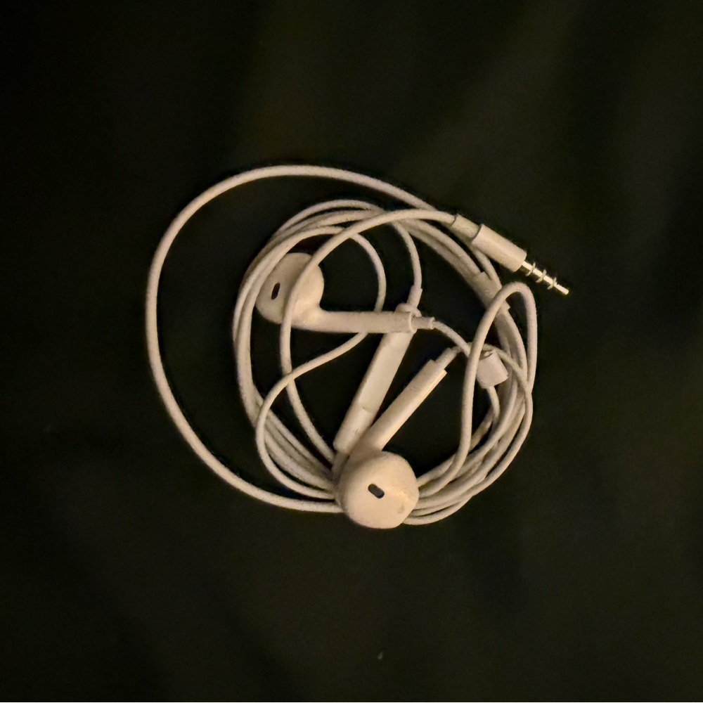 Apple Headphones